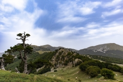 IMG_0067_2_1