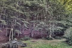 IMG_20140914_1845502-01