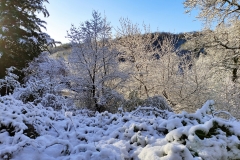IMG_20210408_071541